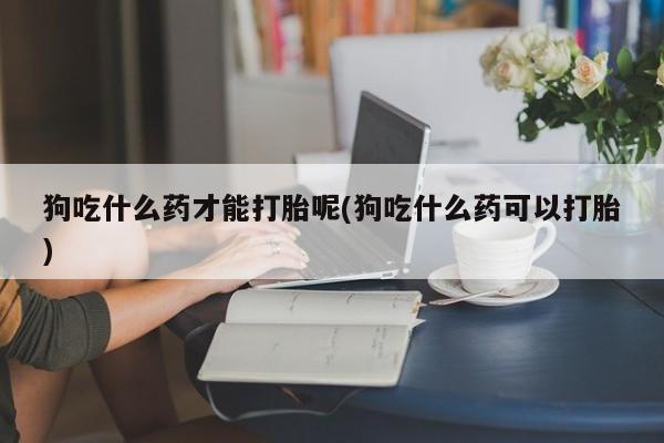 打胎药在哪里买得到狗吃什么药才能打胎呢(狗吃什么药可以打胎)