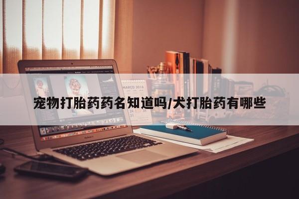 打胎药在哪里买得到宠物打胎药药名知道吗/犬打胎药有哪些