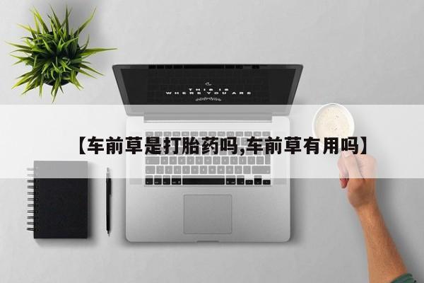 打胎药在哪里买得到【车前草是打胎药吗,车前草有用吗】