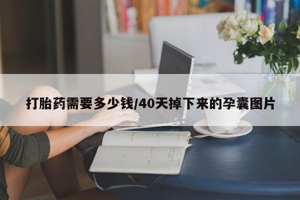 打胎药在哪里买得到打胎药需要多少钱/40天掉下来的孕囊图片