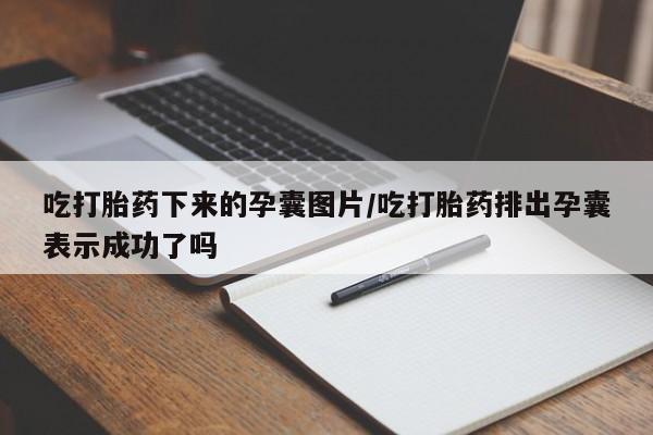 打胎药在哪里买得到吃打胎药下来的孕囊图片/吃打胎药排出孕囊表示成功了吗